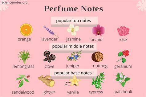 new notes parfum